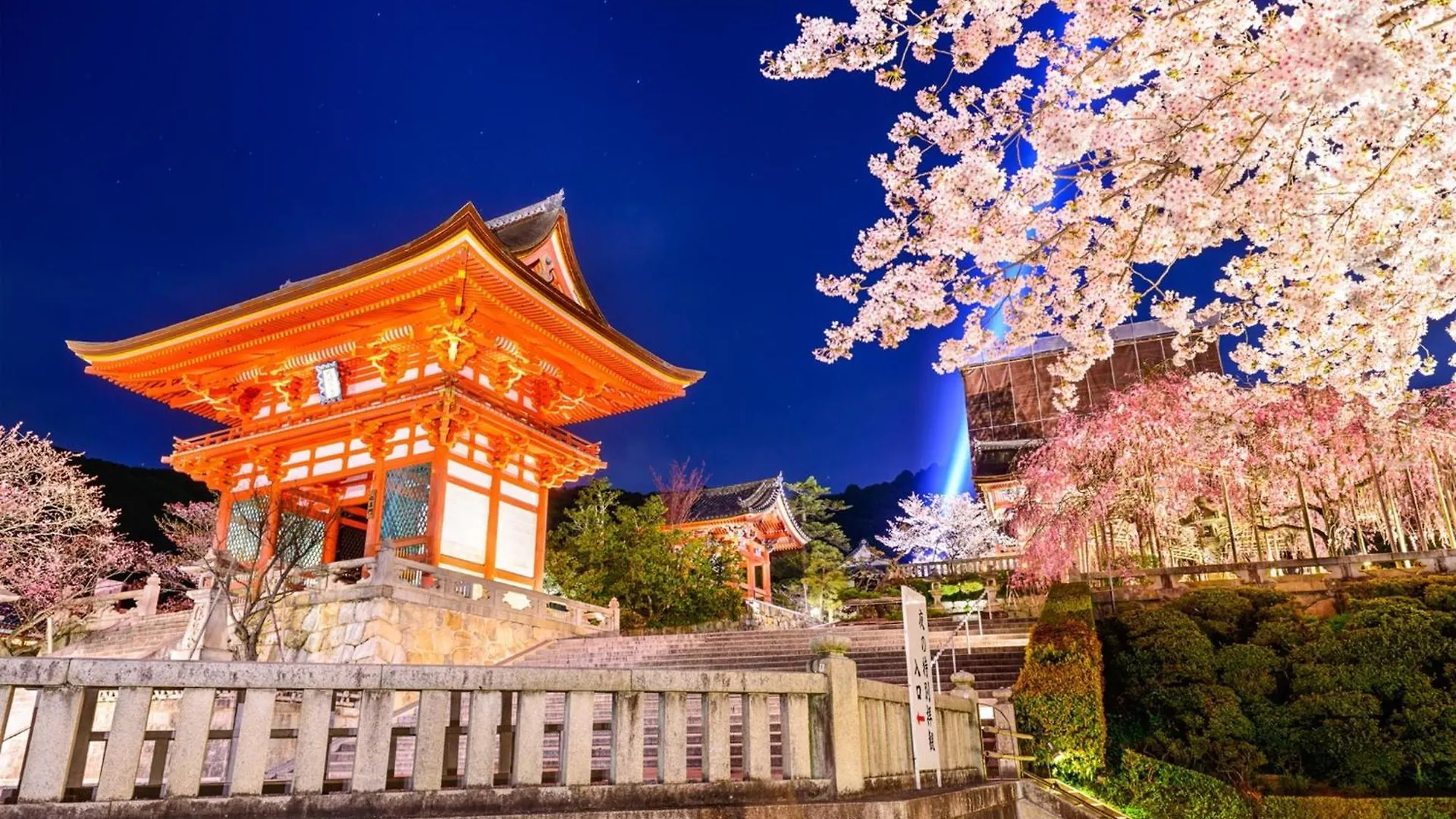 Osaka - Hotel / Vacation Stay 65262 Ιαπωνία